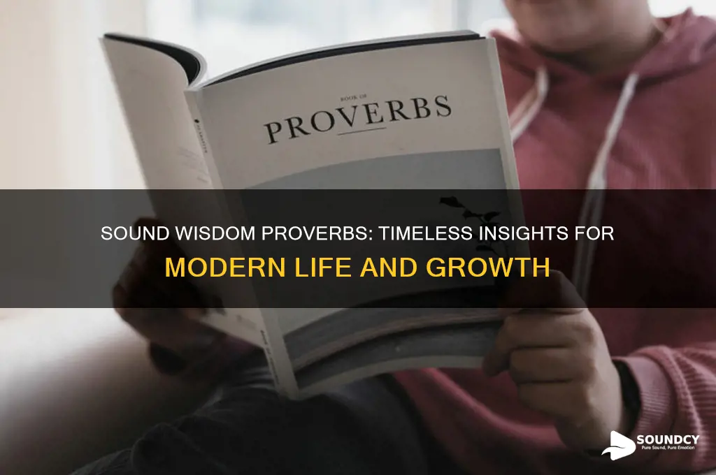 what is sound wisdom proverbs