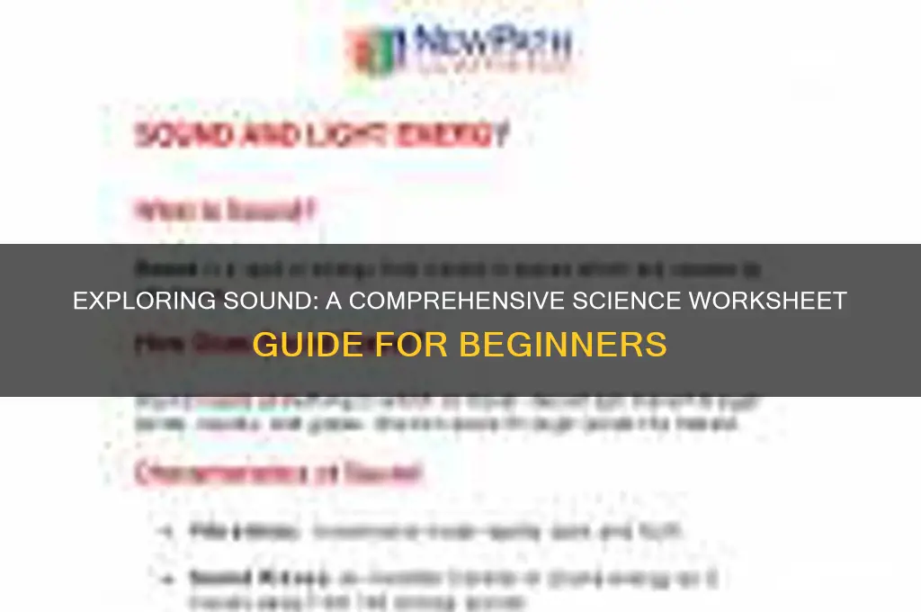 what is sound worksheet science