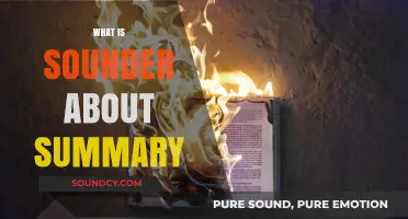 Understanding Sounder: A Comprehensive Summary and Analysis Guide