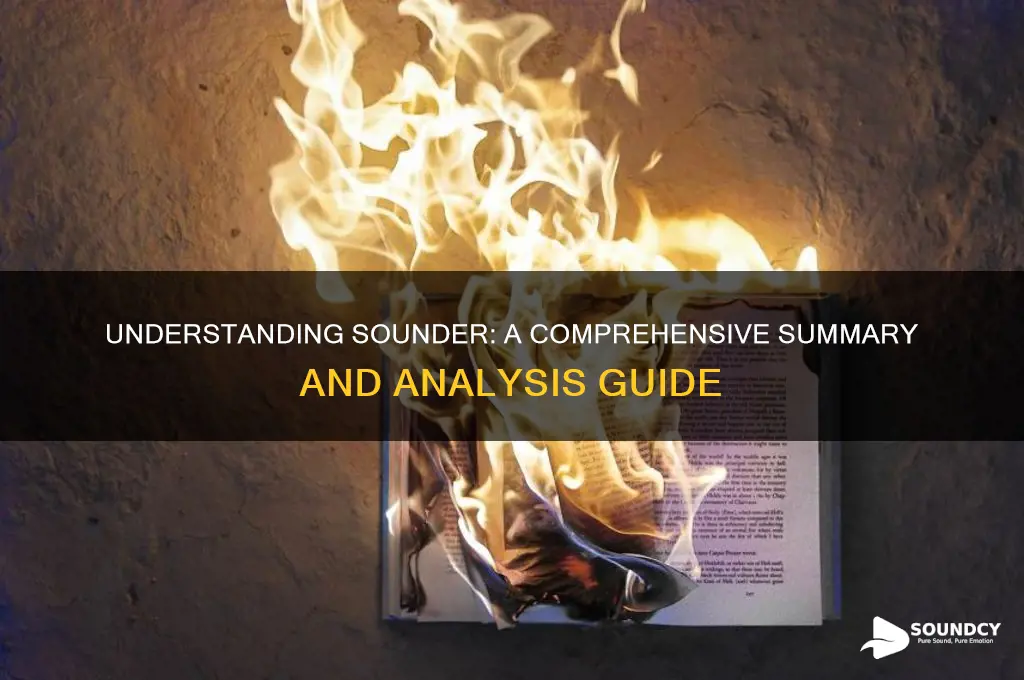 what is sounder about summary