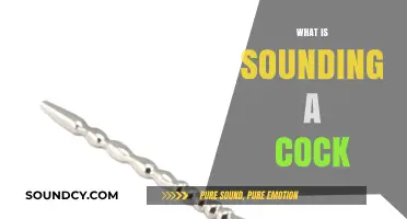 Understanding Sounding: A Guide to Urethral Play and Cock Exploration