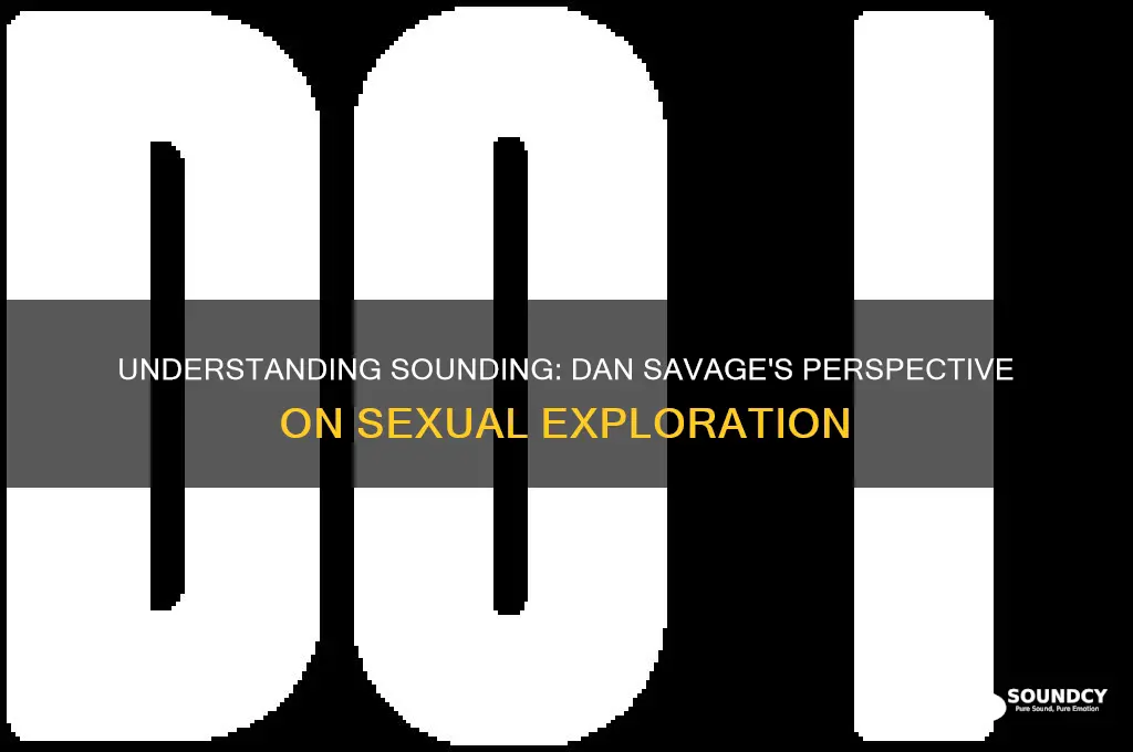 what is sounding dan savage