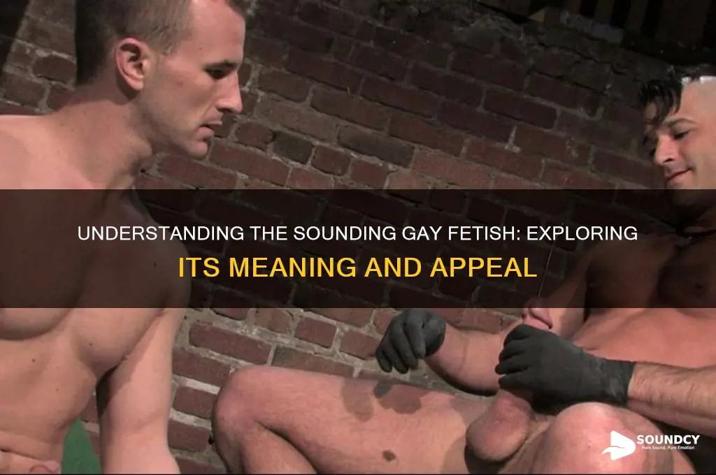 what is sounding gay fetish