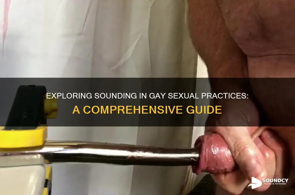 what is sounding gay sex