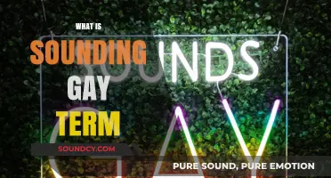 Understanding the Term 'Sounding Gay': Origins, Usage, and Cultural Impact