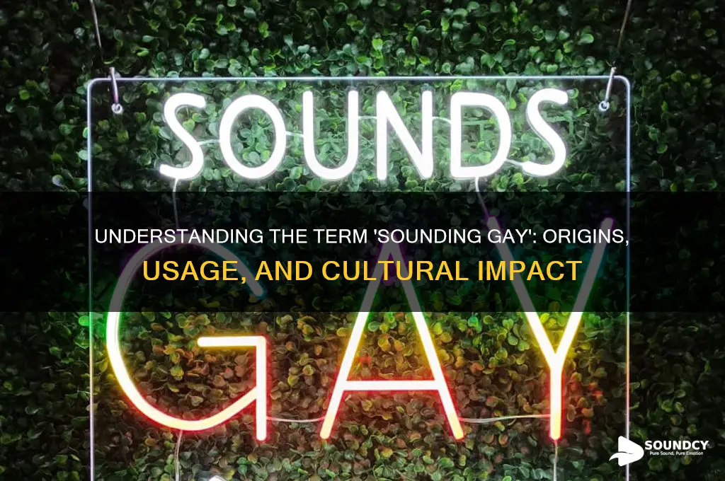 what is sounding gay term
