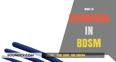 Exploring Sounding in BDSM: Techniques, Safety, and Sensual Exploration