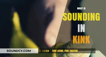 Exploring Sounding: Understanding the Risky Kink Practice and Its Appeal