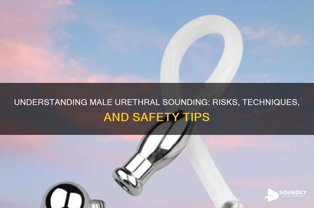 what is sounding in males