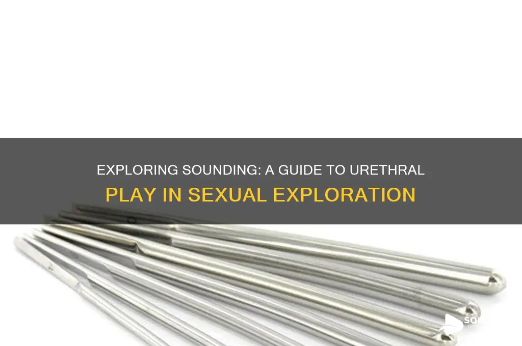 what is sounding in sex