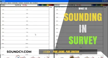 Understanding Sounding in Surveys: Techniques, Benefits, and Practical Applications