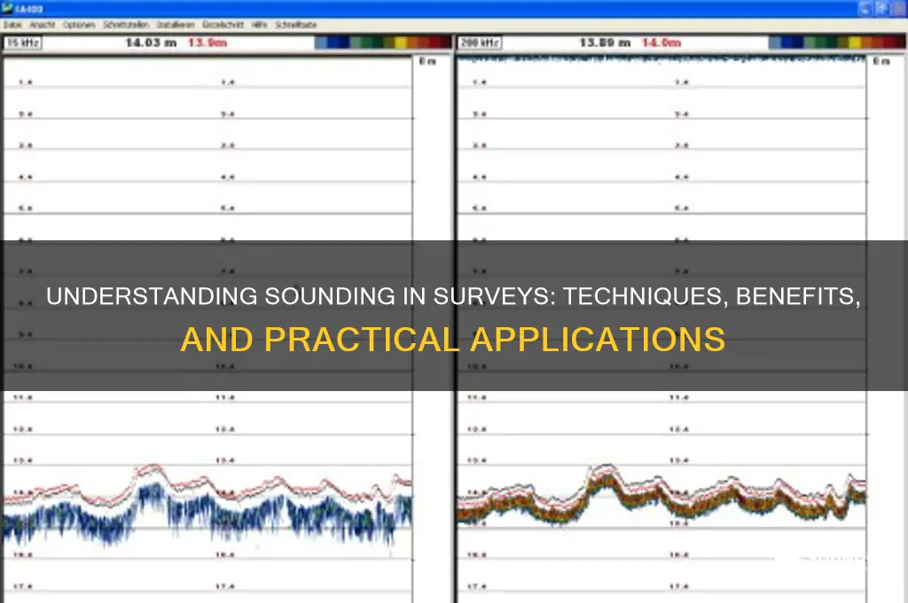 what is sounding in survey