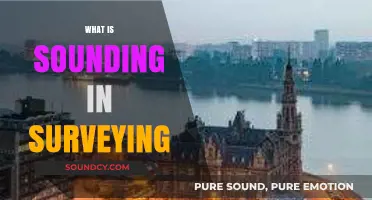 Understanding Sounding Techniques in Surveying: Methods and Applications
