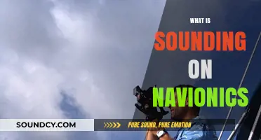 Understanding Sounding on Navionics: A Guide to Depth Measurements