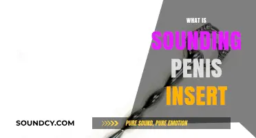 Understanding Sounding: Penis Insert Practices, Risks, and Safety Tips