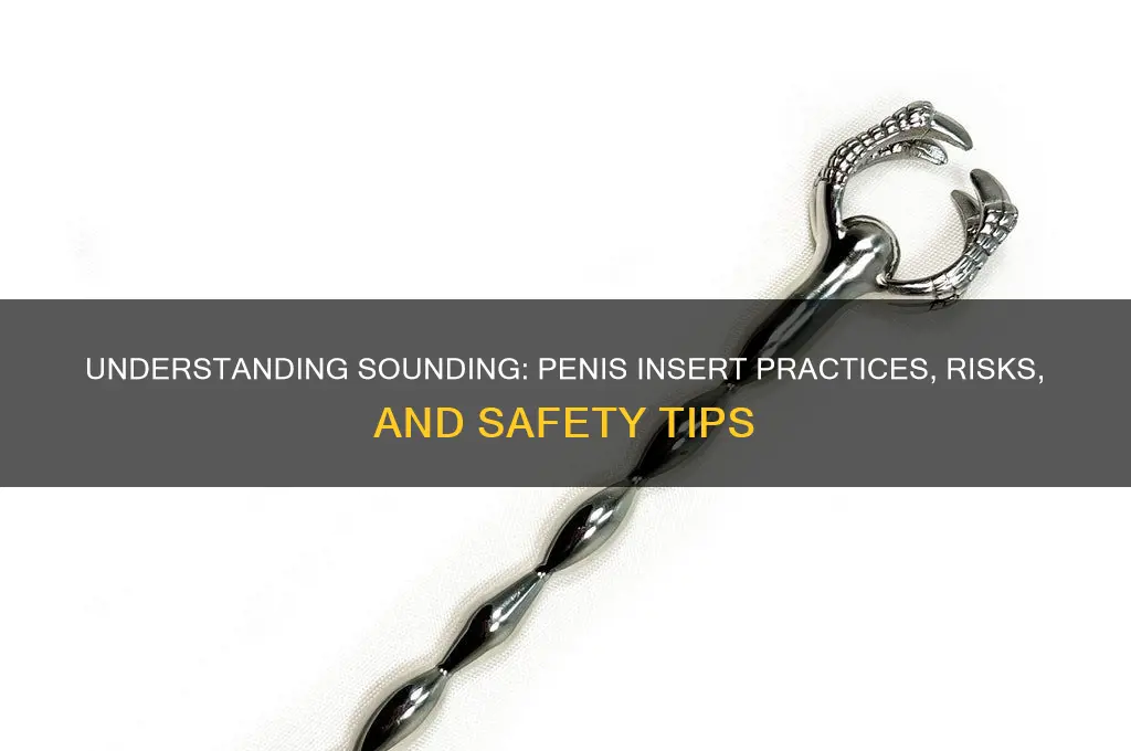 what is sounding penis insert