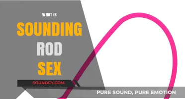 Exploring Sounding Rod Sex: A Guide to Urethral Play and Safety