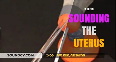 Understanding Uterine Sounding: Procedure, Purpose, and Safety Explained
