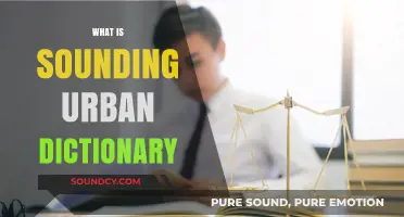 Exploring the Meaning of Sounding: Urban Dictionary's Controversial Definition
