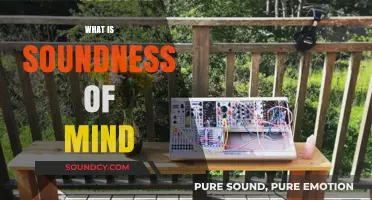 Understanding Soundness of Mind: Clarity, Stability, and Mental Well-Being Explained