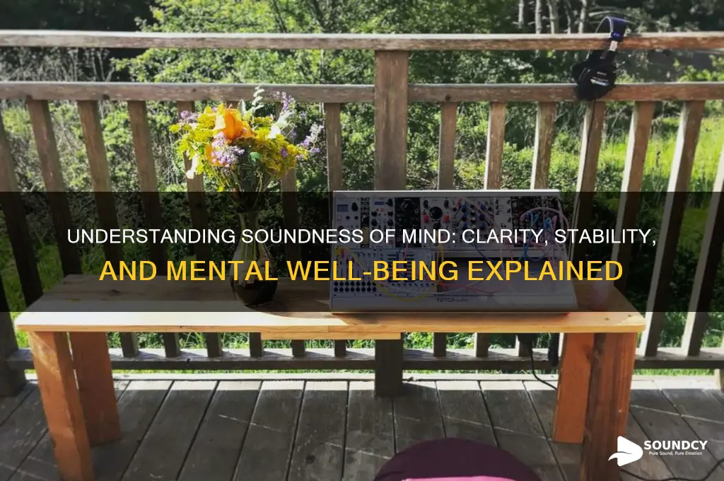 what is soundness of mind