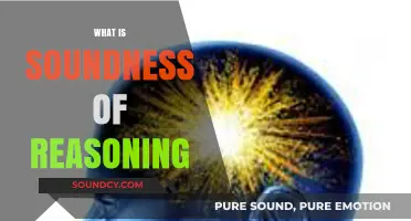 Understanding Soundness of Reasoning: A Logical Framework for Valid Arguments