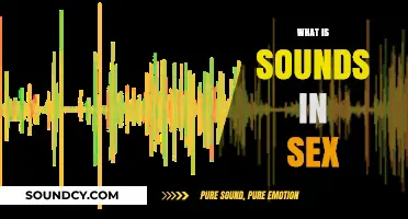 Exploring the Sensual World of Sounds in Intimate Encounters