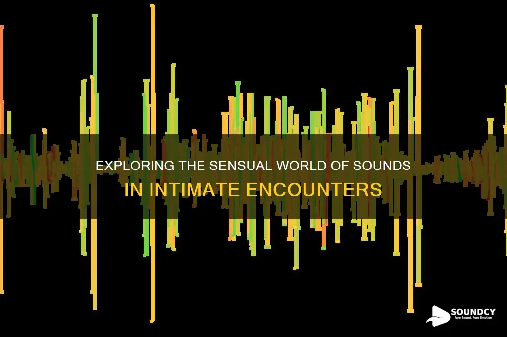 what is sounds in sex