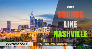 Exploring Nashville's Iconic Music Scene: What It Sounds Like
