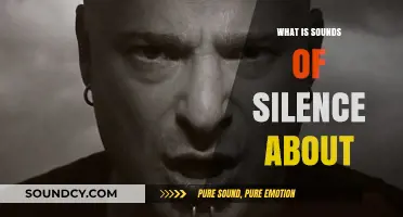 The Sounds of Silence: A Song's Meaning