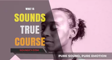 Exploring Sounds True: A Comprehensive Guide to Transformative Courses