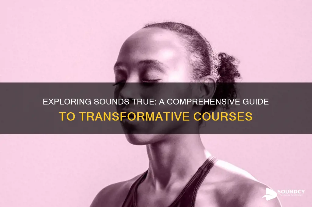what is sounds true course