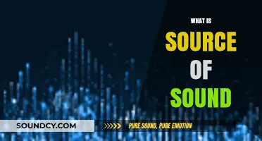Unveiling the Origins: Exploring the Source of Sound Waves