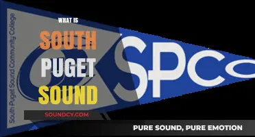 Exploring South Puget Sound: Geography, Ecology, and Community Highlights