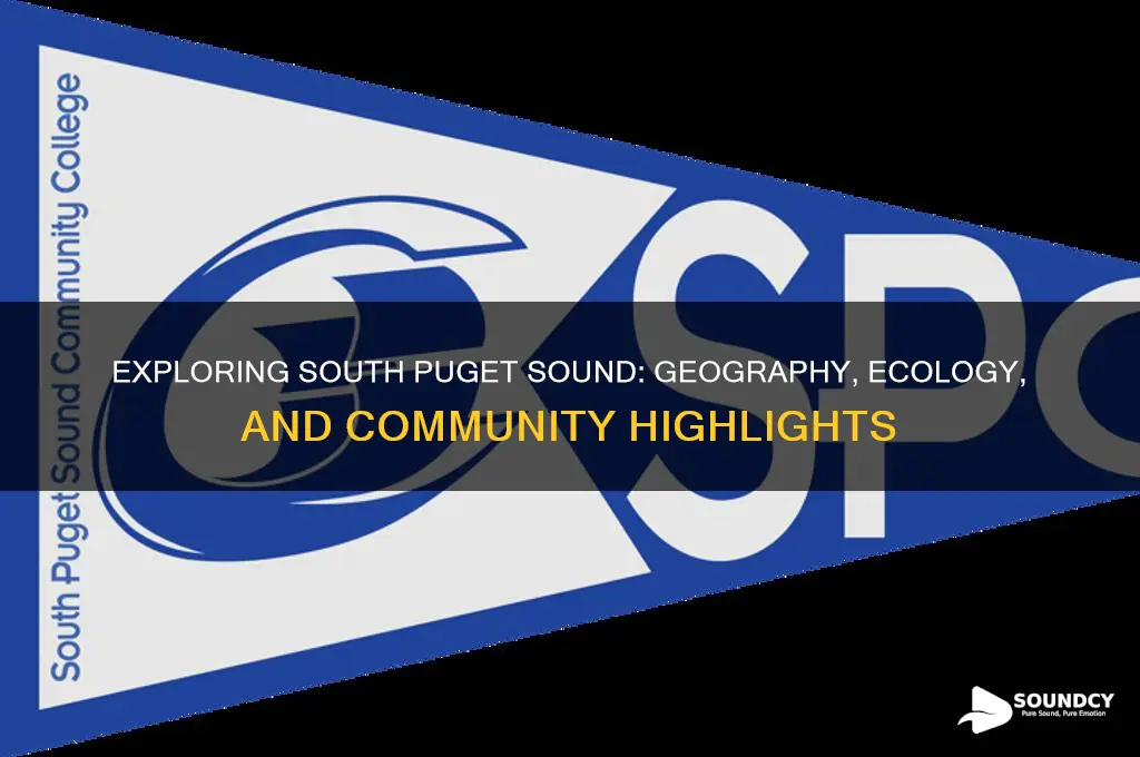 what is south puget sound
