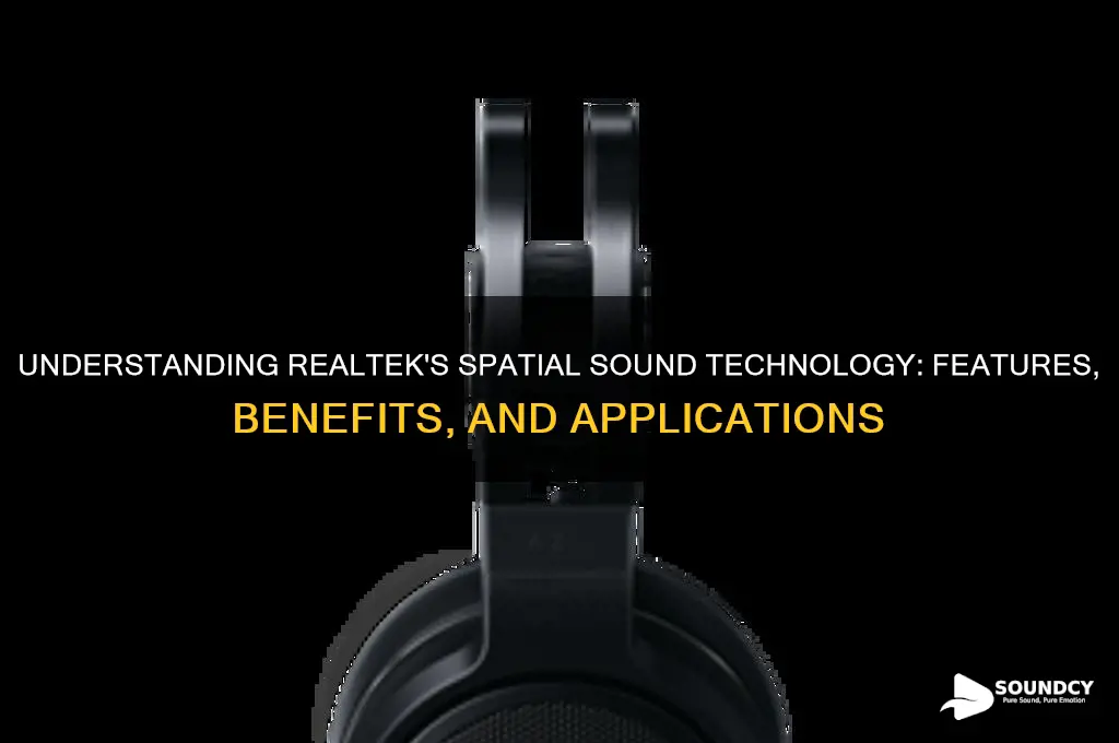 what is spacial sound realtek
