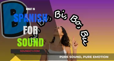 Discovering the Spanish Word for Sound: A Quick Language Guide