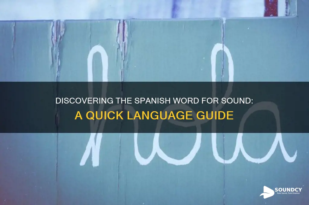 what is spanish for sound