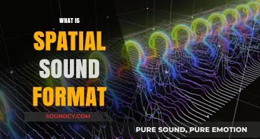 Understanding Spatial Sound Format: Immersive Audio Technology Explained