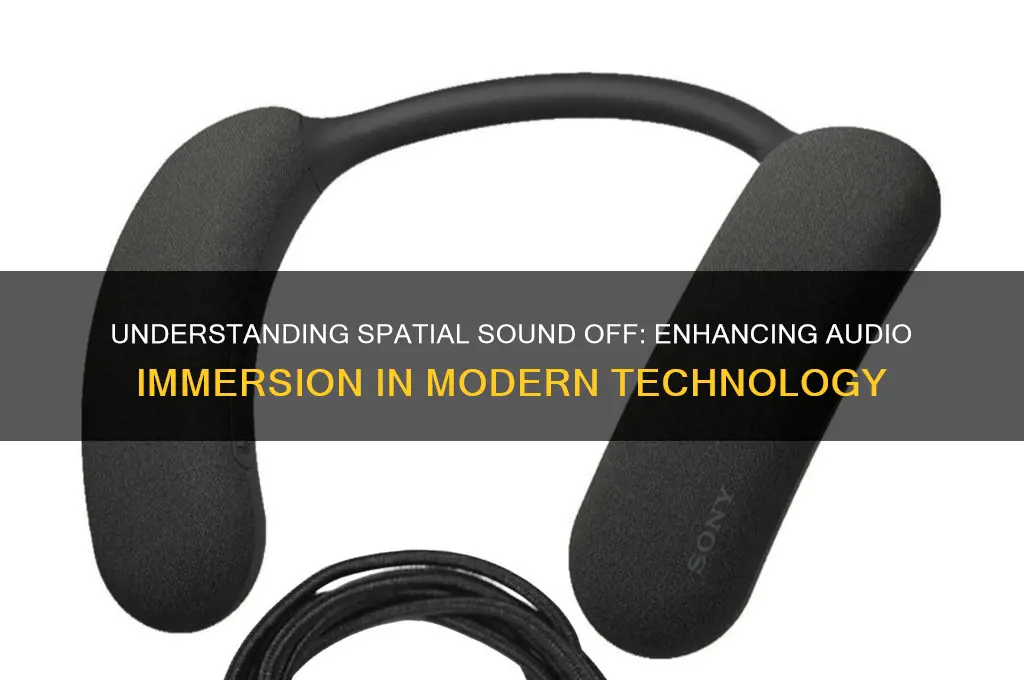 what is spatial sound off