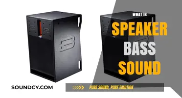 Understanding Speaker Bass Sound: Definition, Importance, and Impact on Audio Quality