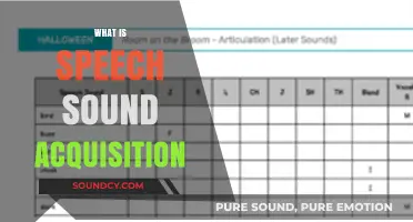 Understanding Speech Sound Acquisition: A Guide to Early Language Development