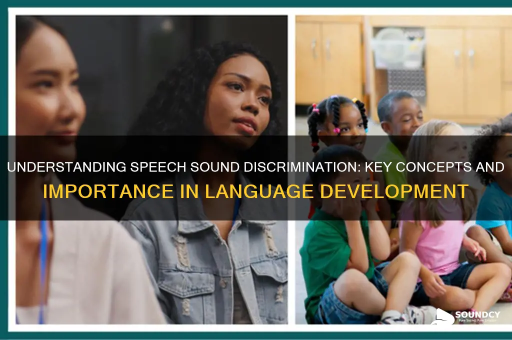 what is speech sound discrimination