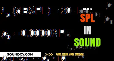 Understanding SPL: Decoding Sound Pressure Levels and Their Impact on Audio