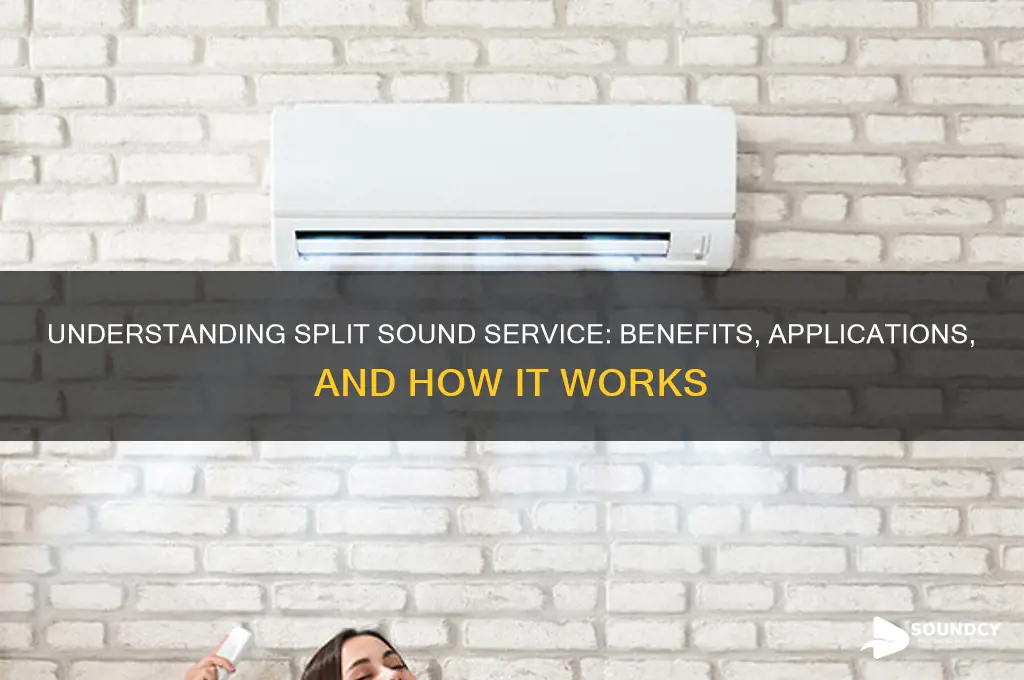 what is split sound service