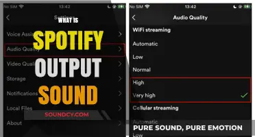Understanding Spotify's Output Sound: Quality, Formats, and Listening Experience
