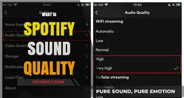 Exploring Spotify's Sound Quality: Streaming Audio Clarity and Bitrate Explained
