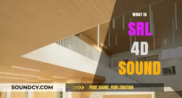 Exploring the Immersive World of SRL 4D Sound Technology