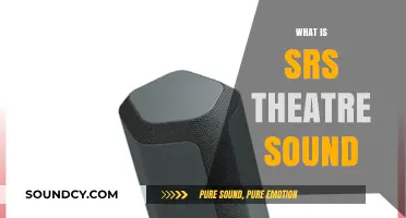 Exploring SRS Theatre Sound: Enhancing Cinematic Audio Experience