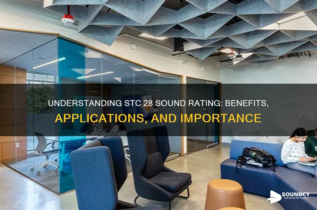 what is stc 28 sound